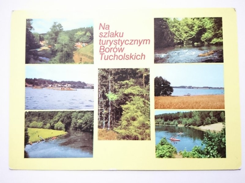 NA SZLAKU TURYSTYCZNYM BORÓW TUCHOLSKICH FOT. CHOJNACKI I INNI