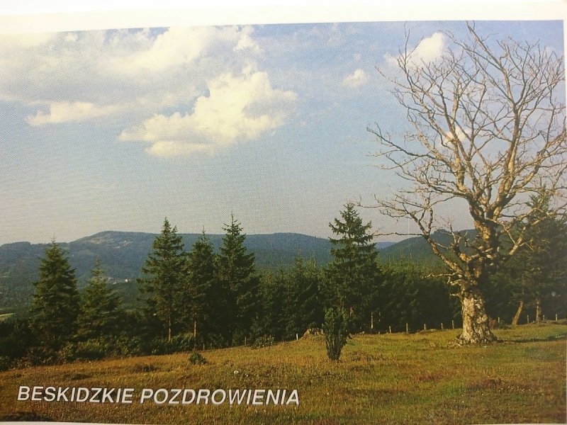 BESKID ŚLĄSKI. WIDOK W KIERUNKU RÓWNICY