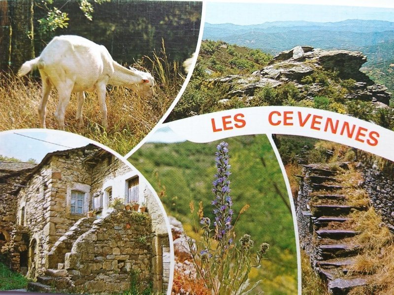 MASSIF DES CEVENNES