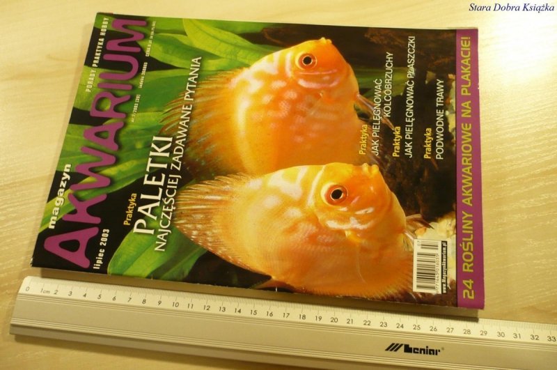 MAGAZYN AKWARIUM NR 7/2003 (20) BEZ PLAKATU