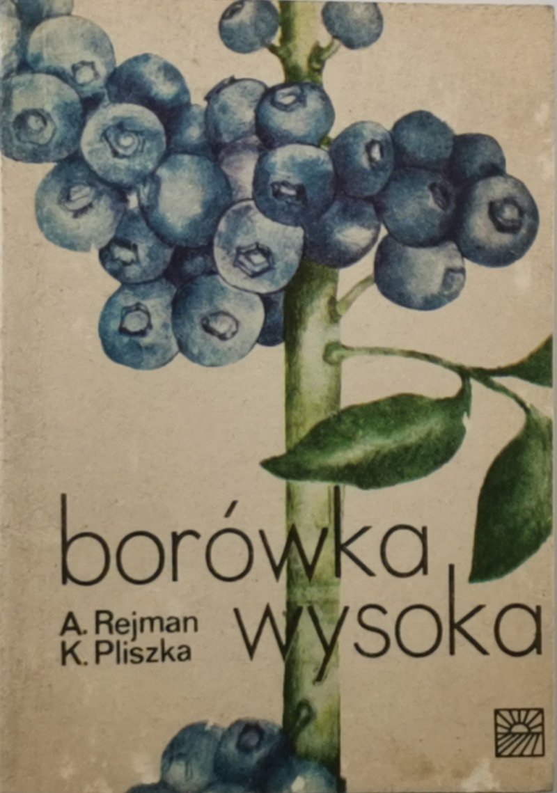 BORÓWKA WYSOKA - A. Rejman