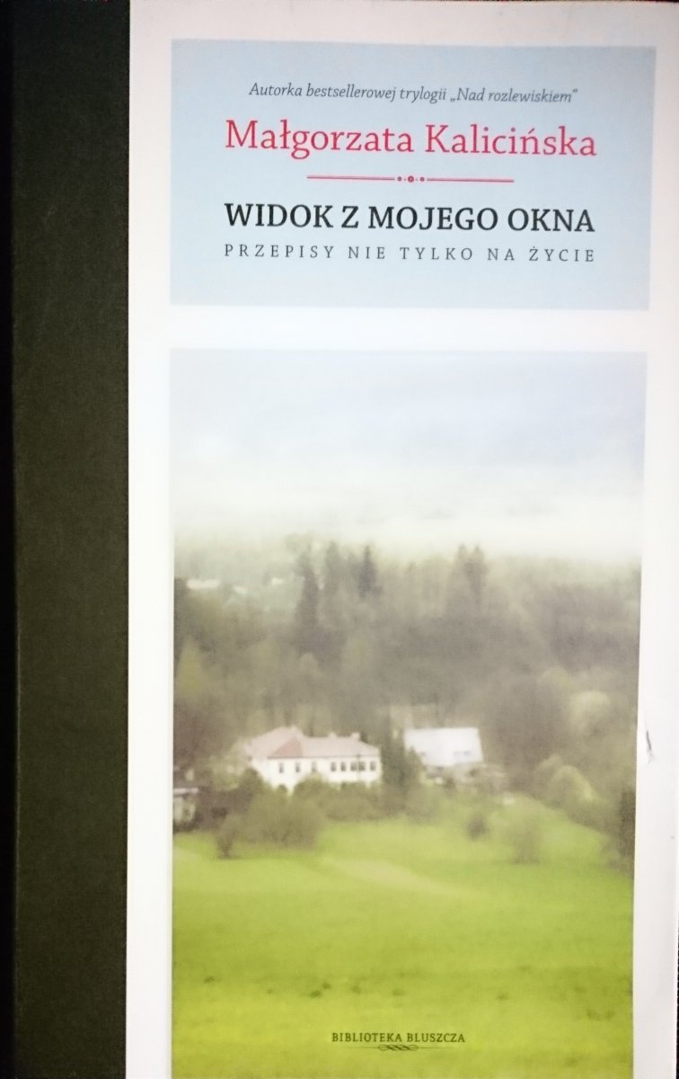 WIDOK Z MOJEGO OKNA - Małgorzata Kalicińska 