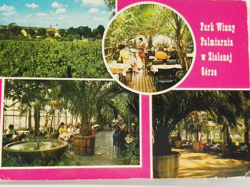 PARK WINNY I PALMIARNIA W ZIELONEJ...FOT. TYMIŃSKI
