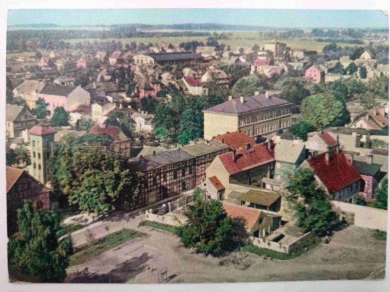 GRYFICE WIDOK OGÓLNY
