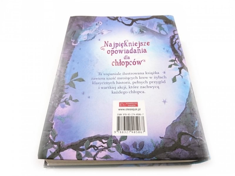 NAJPIĘKNIEJSZE OPOWIADANIA DLA CHŁOPCÓW 2008