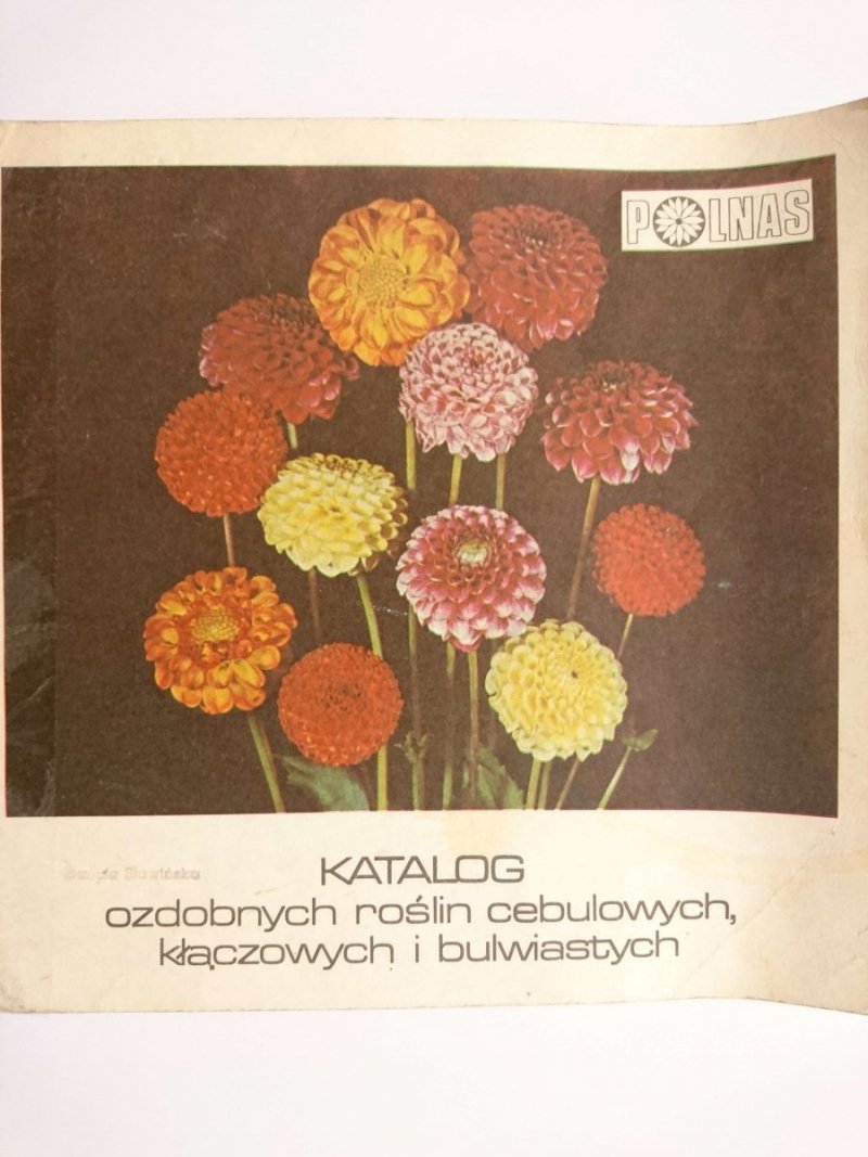 KATALOG OZDOBNYCH ROŚLIN CEBULOWYCH KŁĄCZOWYCH I BULWIASTYCH 1985