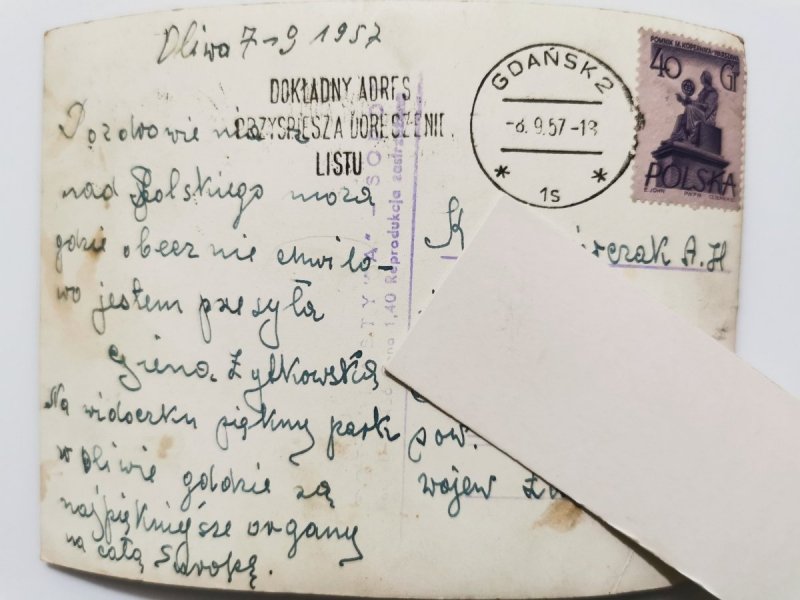 OLIWA. FRAGMENT PARKU