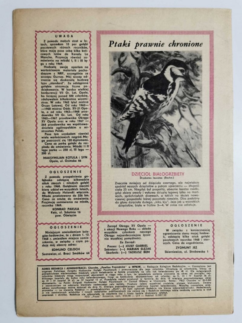 HODOWCA GOŁĘBI POCZTOWYCH NR 1 1969