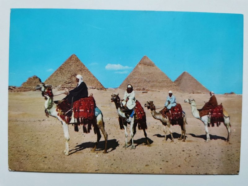 GIZA ARAB CAMELRIDES