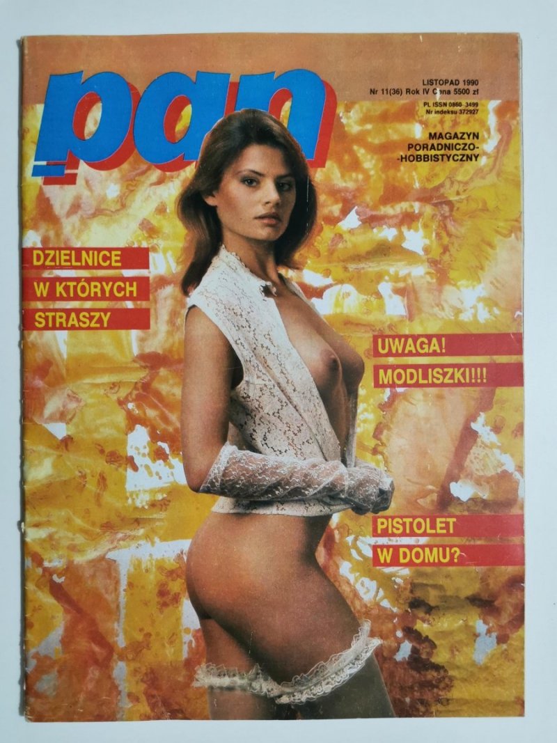 PAN MAGAZYN PORADNICZO-HOBBYSTYCZNY LISTOPAD 1990 NR 11 (36) ROK IV