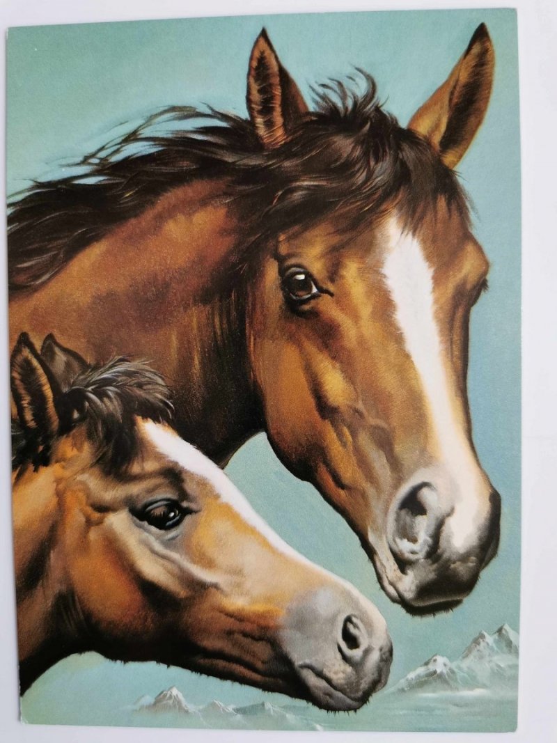 DWA CIEMNE KONIE, GRAFIKA