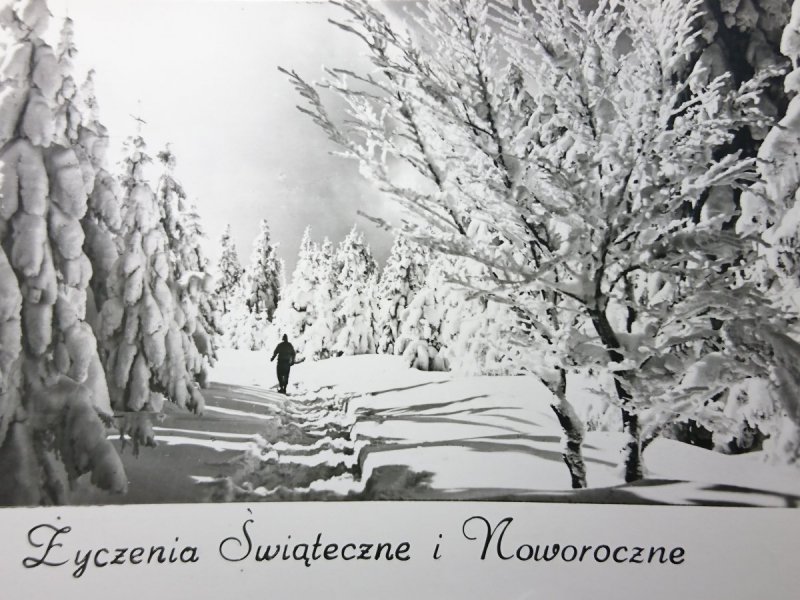 BESKID ŚLĄSKI. NA SZCZYCIE SKRZYCZNEGO