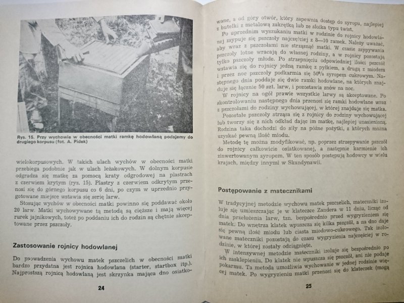 TECHNOLOGIA WYCHOWU MATEK PSZCZELICH - Pidek 1981