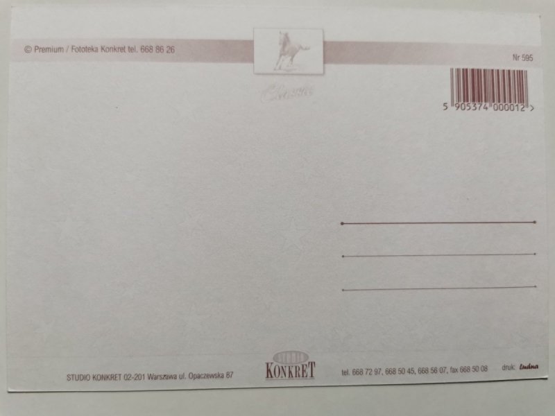 BIAŁY KOŃ Z GRZYWĄ W PODSKOKU
