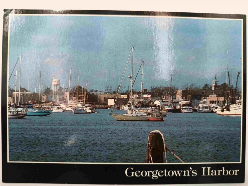 GEORGETOWN’S HARBOR
