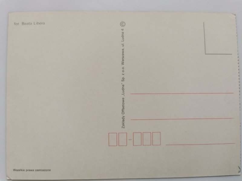 BIAŁY KOŃ Z GRZYWKĄ FOT. BEATA LIBERA