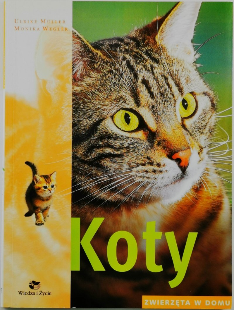 KOTY - Robert Wasilewski