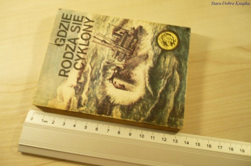 ŻÓŁTY TYGRYS: GDZIE RODZĄ SIĘ CYKLONY (1985)