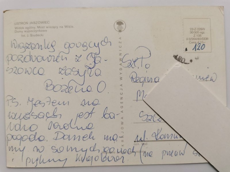USTROŃ JASZOWIEC. WIDOK OGÓLNY. MOST WISZĄCY NA WIŚLE. DOMY WYPOCZYNKOWE FOT. SIUDECKI