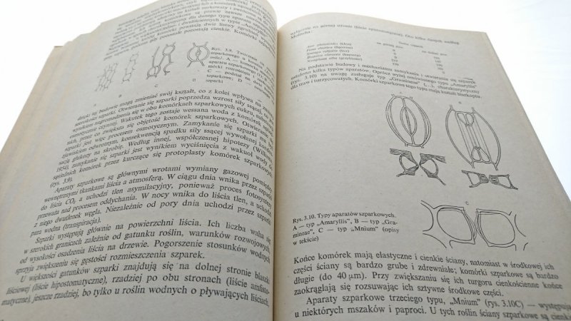 PODSTAWY BOTANIKI - Benedykt Halicz 1986