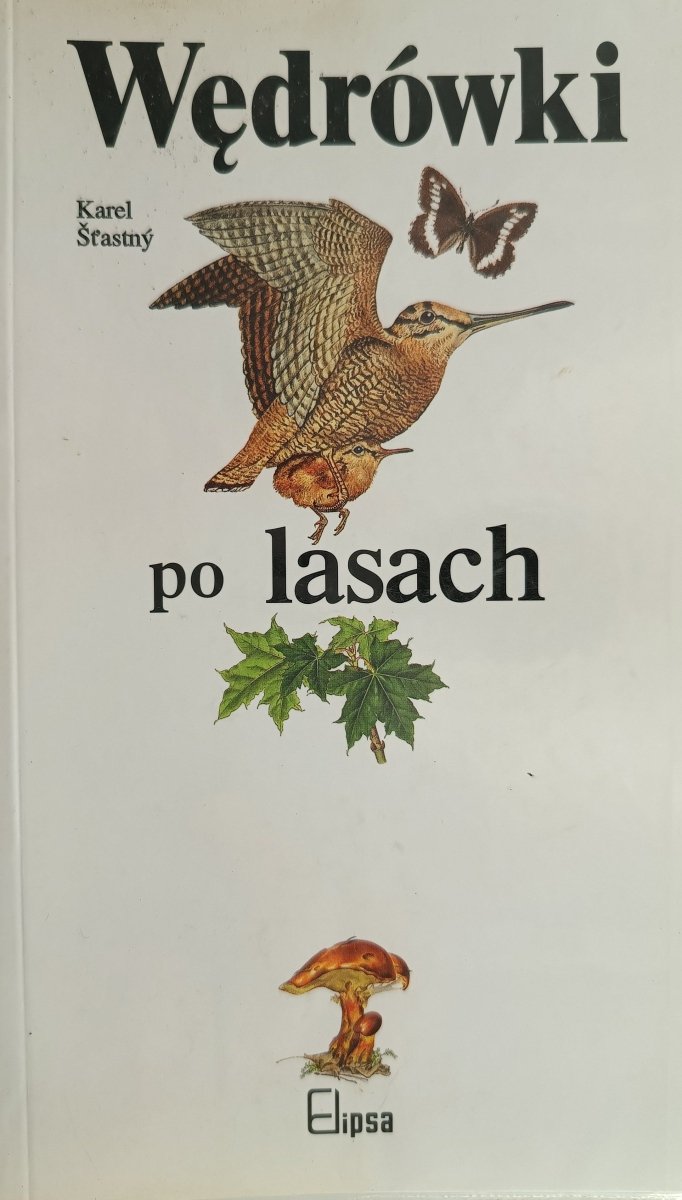 WĘDRÓWKI PO LASACH - Karel Stasny