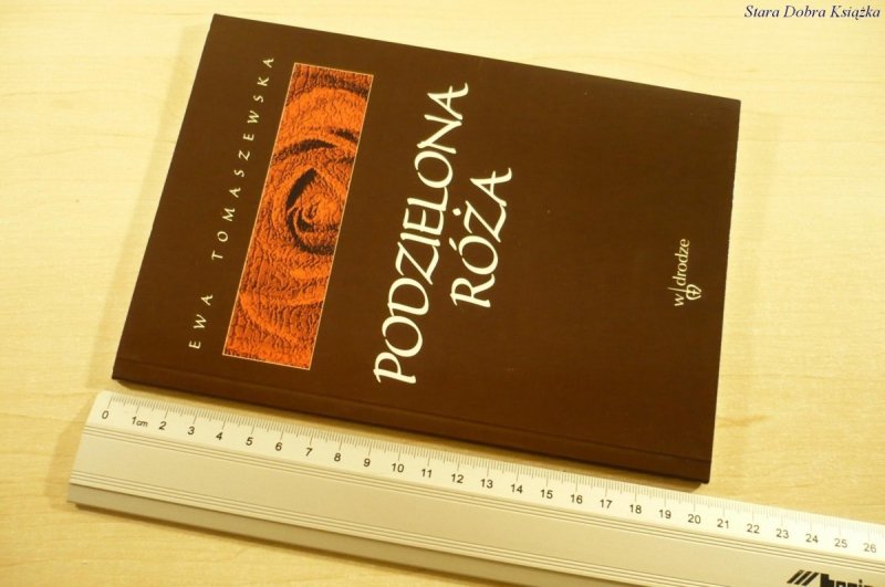 PODZIELONA RÓŻA - Ewa Tomaszewska (1999)