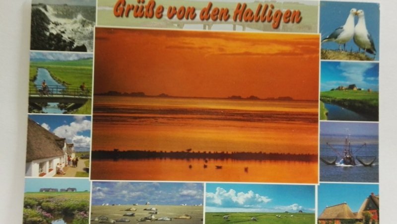 GRUSSE VON DEN HALLIGEN