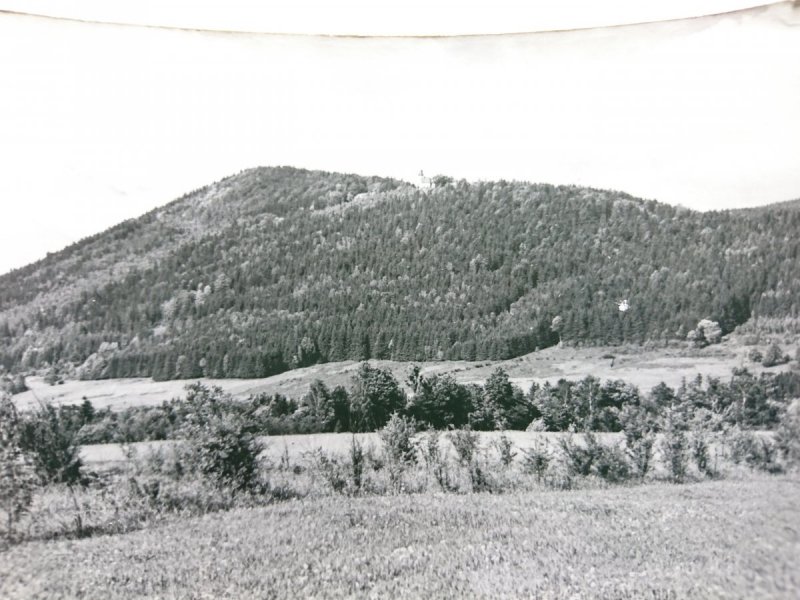MIĘDZYGÓRZE. 'MARIA ŚNIEŻNA' FOT. P. MILKA