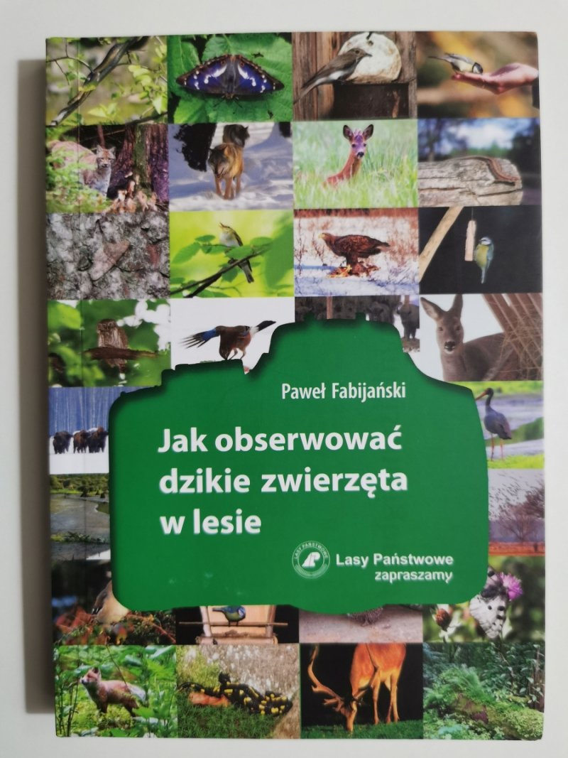 JAK OBSERWOWAĆ DZIKIE ZWIERZĘTA W LESIE - Paweł Fabijański