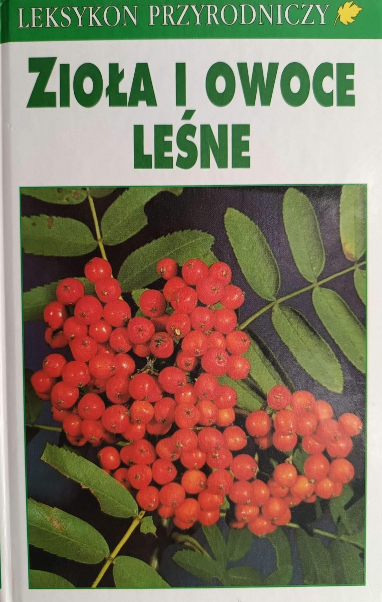 ZIOŁA I OWOCE LEŚNE LEKSYKON PRZYRODNICZY