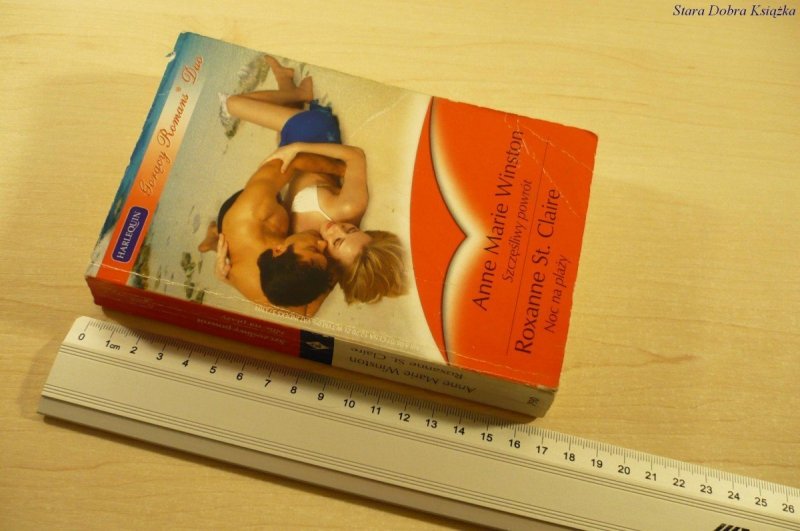 SZCZĘŚLIWY POWRÓT; NOC NA PLAŻY (2007)