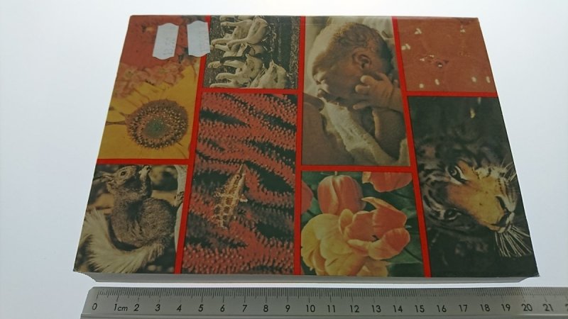 VADEMECUM MATURZYSTY. BIOLOGIA Pyłka-Gutowska 1996