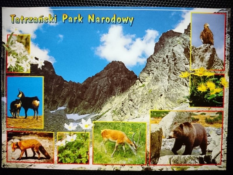 TATRZAŃSKI PARK NARODOWY FOT. T. OGÓREK