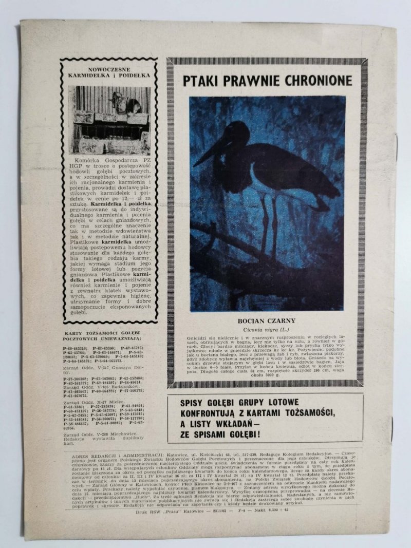 HODOWCA GOŁĘBI POCZTOWYCH NR 8 1965