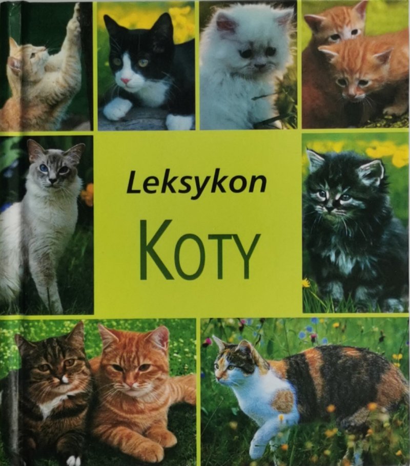 LEKSYKON KOTY