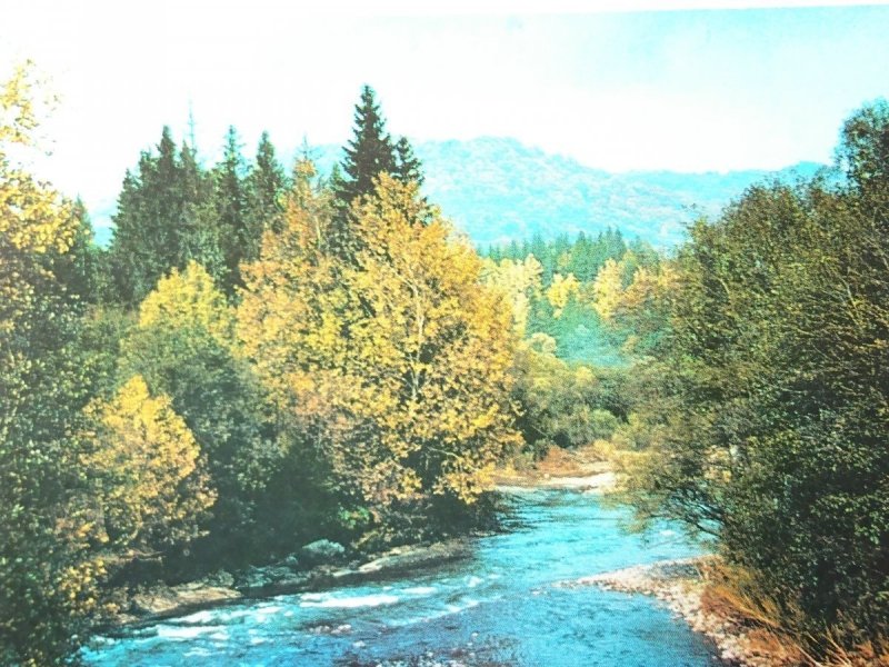 BIESZCZADY. WETLINA W OKOLICACH SMEREKA