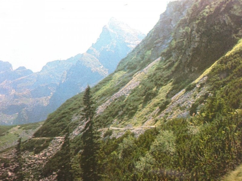 TATRY WYSOKIE. TRAWERS POD MAŁYM... FOT. ZALESKI