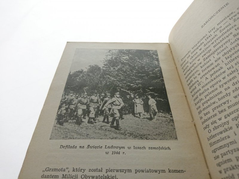 LASY W OGNIU - Wojciech Sulewski 1962