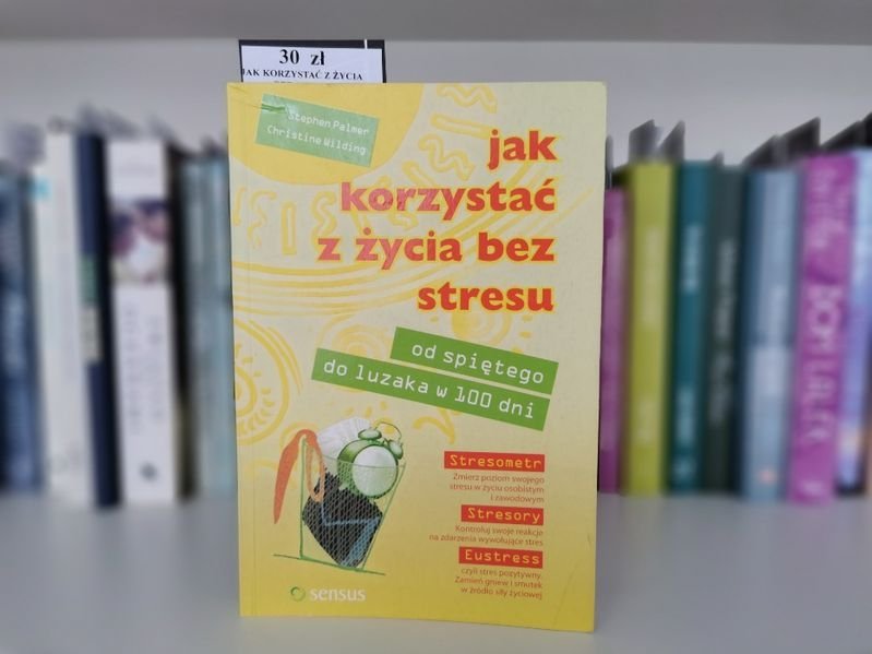 Jak korzystać z życia bez stresu - Stephen Palmer