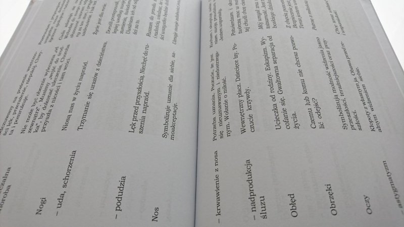 MOŻESZ UZDROWIĆ SWOJE ŻYCIE - Louise L. Hay 2008