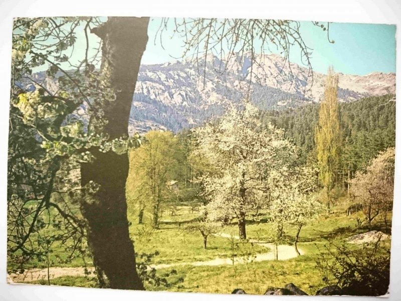 LA CORSE INOUBLIABLE. COL DE VERGIO