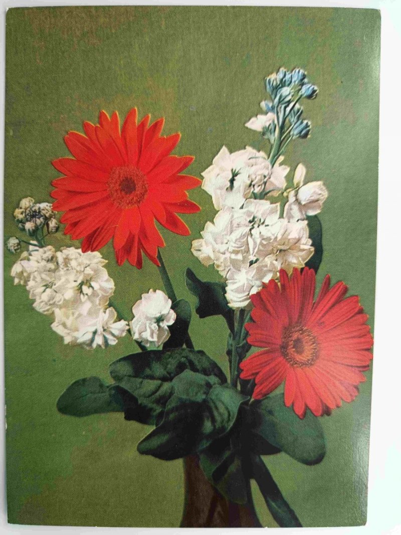 KWIATY S. CZARNOGÓRSKI