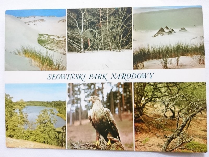 SŁOWIŃSKI PARK NARODOWY FOT. J. HATTOWSKI