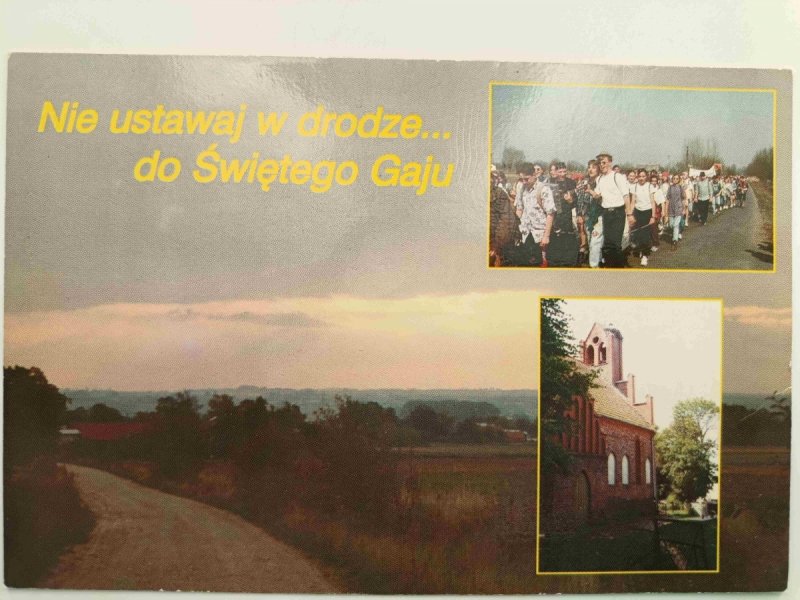 NIE USTAWAJ W DRODZE DO ŚWIĘTEGO GAJU
