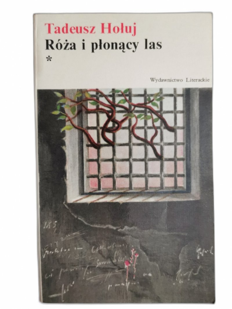 RÓŻA I PŁONĄCY LAS * - Tadeusz Hołuj