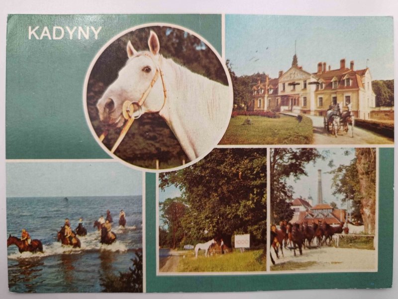 STADNINA KONI KADYNY