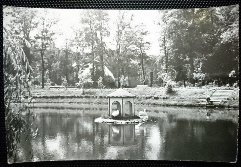 TOMASZÓW MAZOWIECKI. PARK FOT. K. JABŁOŃSKI
