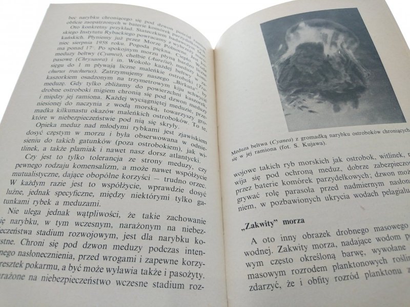MORZA I OCEANY. EKOLOGIA I BIOGEOGRAFIA Demel 1975