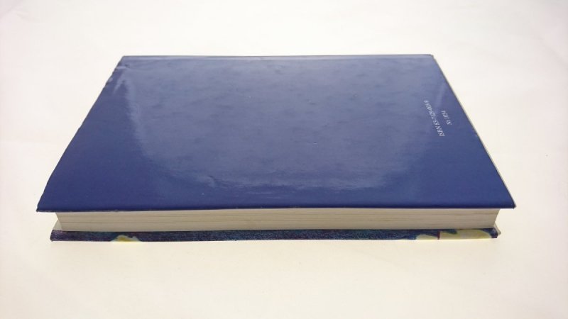 PUSTY DOM - Rosamunde Pilcher 1994