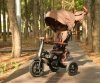 Qplay Rowerek Trójkołowy Rito Deluxe Rubber Brown